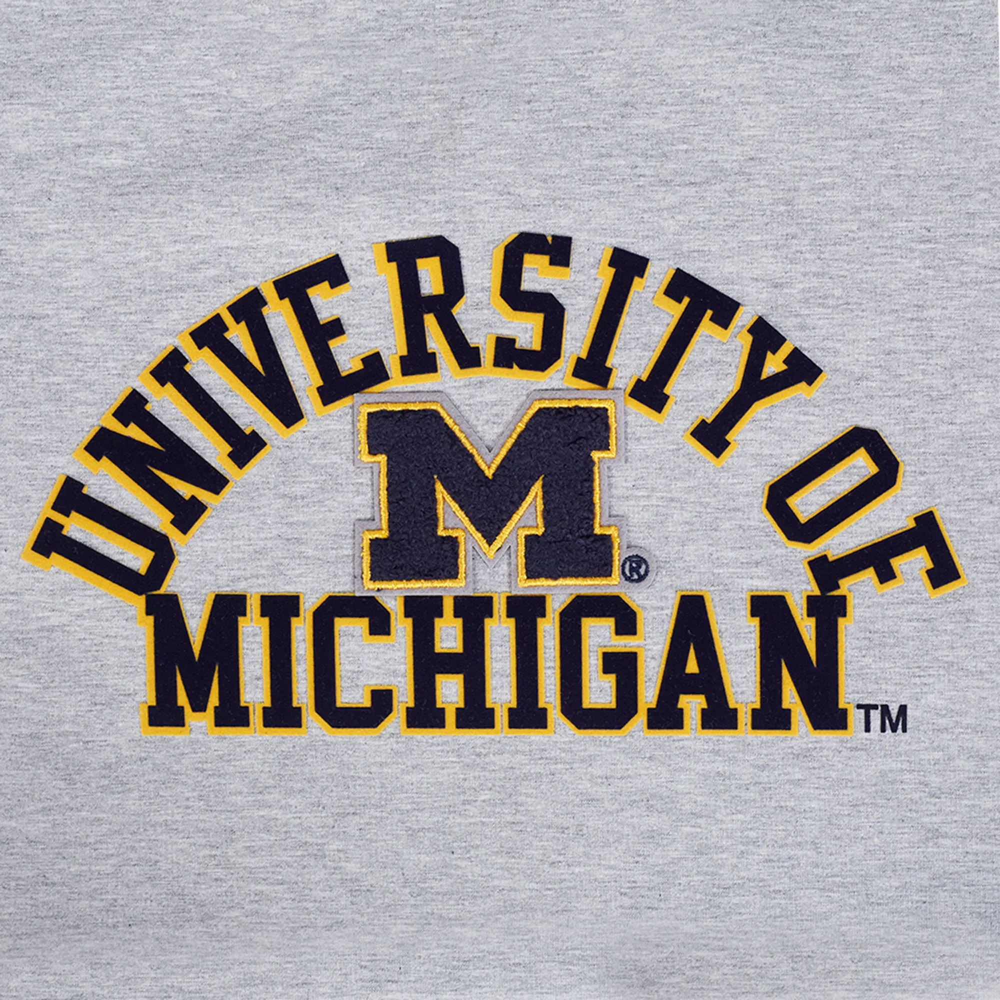 Pro Standard Michigan Women's Classic Boxy Tee - Gray